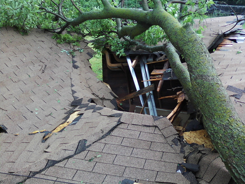 Fallen tree on a home